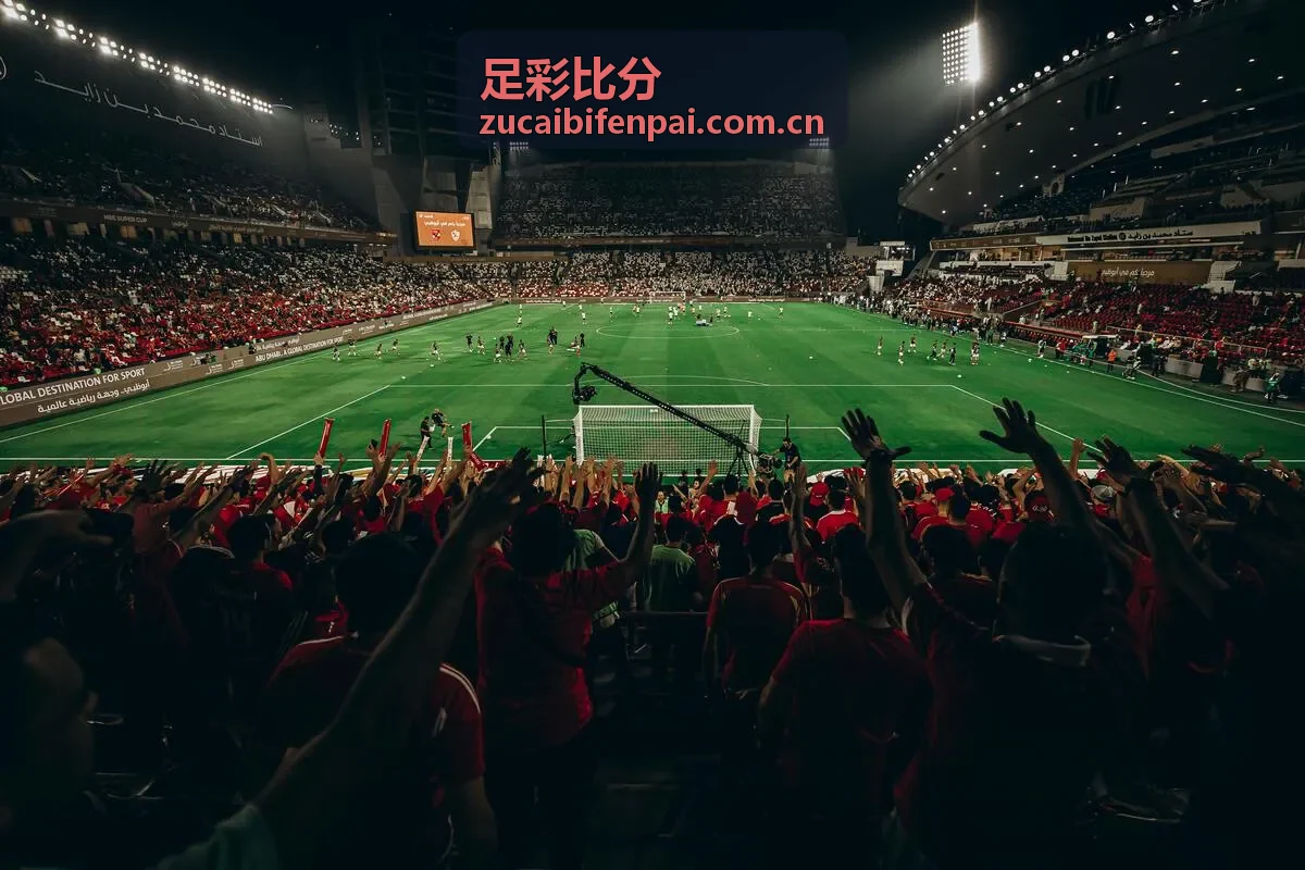足彩比分系统升级公告